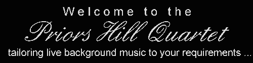 a syndicate of bands and musicians including string quartets,
jazz quartets, funk bands, cocktail pianists and harpists
available for weddings, private parties, receptions, launches and corporate functions
